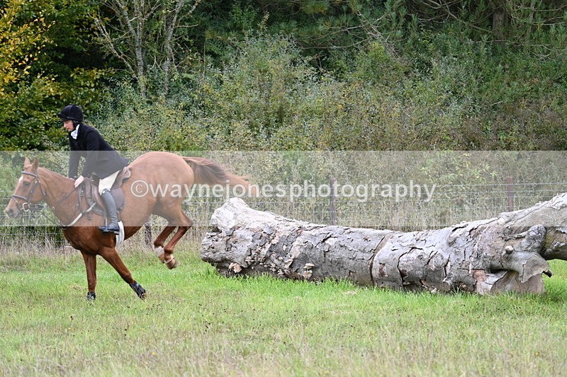 WJ7_3863 - Camera 1 Line 1