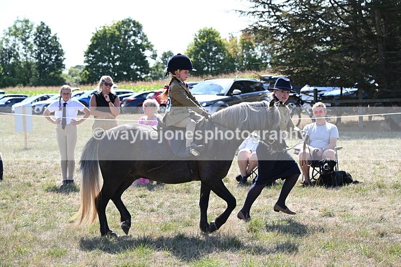 WJ6_7805 - Class 36 Lead Rein