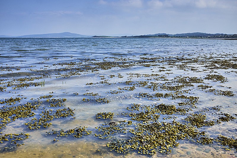 Tide coming in at Morecambe - Landscapes around Morecambe Bay