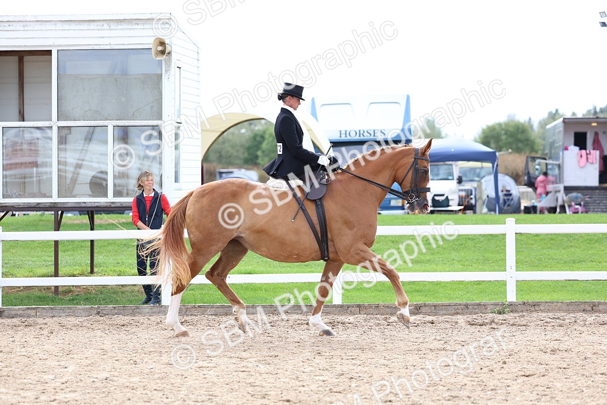 SBM_03392 - Class 24 - SSA Concours d'elegance (any age)