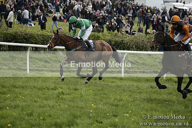 PtP 170417 199 - Old Berks Point-to-Point Lockinge 17/04/17