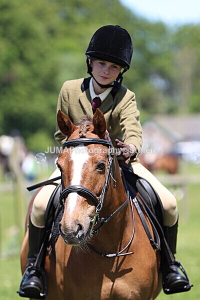IMG_3921 - Working Hunter
