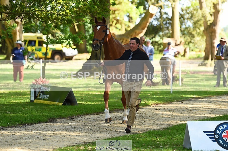 230524-164052-01015 - 111-CREEVAGHSTABLES_IFICUDIWUD-Tim_Cheffings-WEDTrotUp+DR