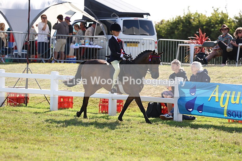 3E7A4063 - Supreme Championship