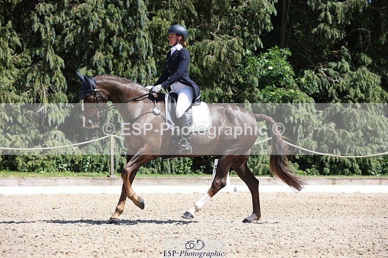 230526-145336-06573 - 376-DIRECT_BALLYTARSNA_DUCAREL-Jodie_Amos-WEDTrotUp+DR