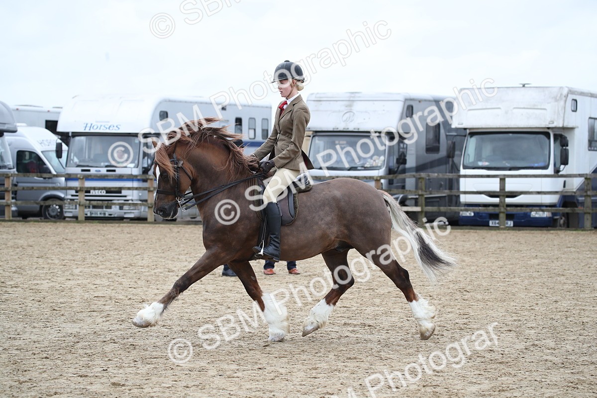 SBM_006384 - Class 10-13 - RIHS Small Large Breeds