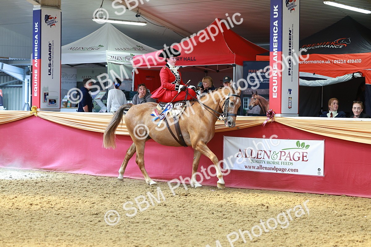 SBM_13931 - Class 106 - Ridden Costume - Side Saddle