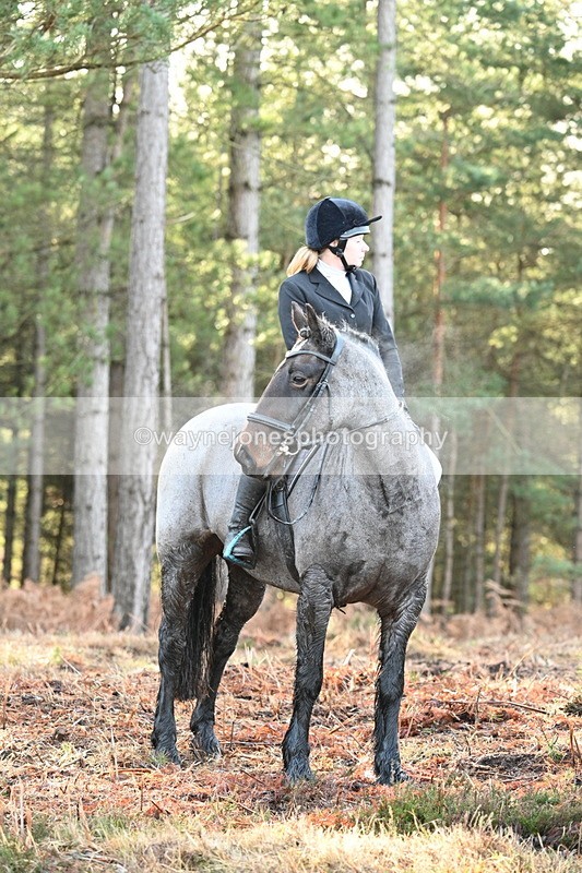 WJ7_7454 - Line 3 (no line 4 or 5)