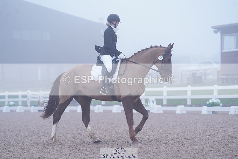 250215-094622-02698 - 142-Daisy.Hedges-Felicia.v