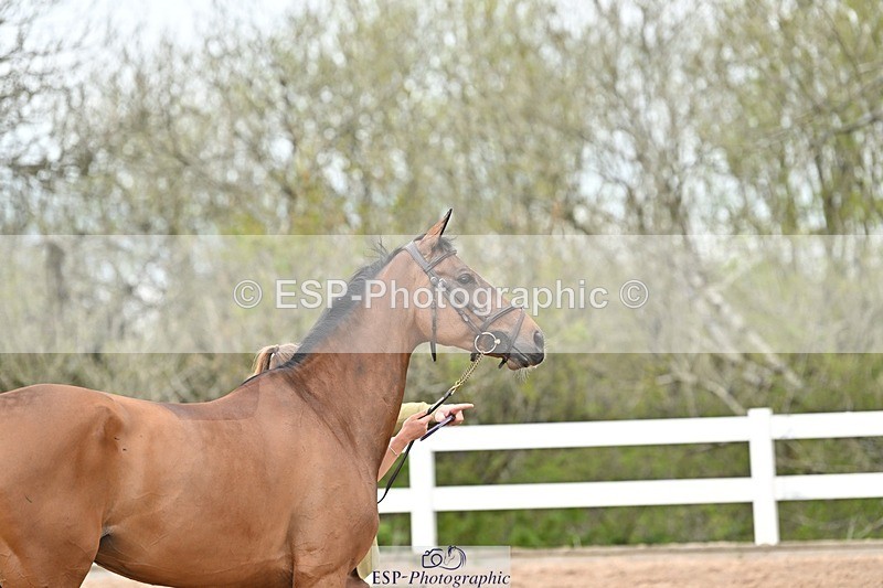 250423-151437-01490 - 3pm to 4pm