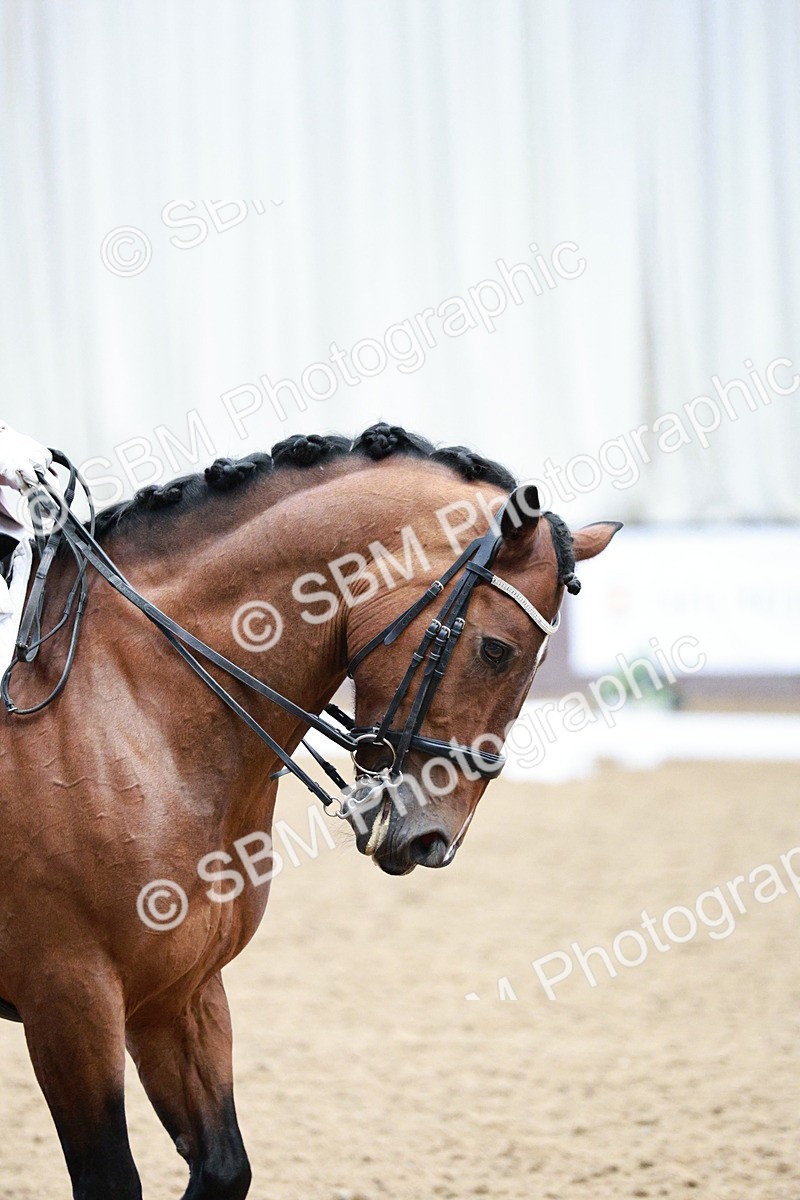 SBM_006476 - Class 16 - Advanced Medium 5 - 16.02-17.22