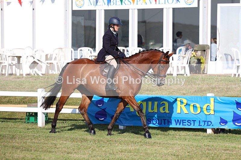 3E7A5495 - Class 2: Rising Star Large Hack/Riding Horse