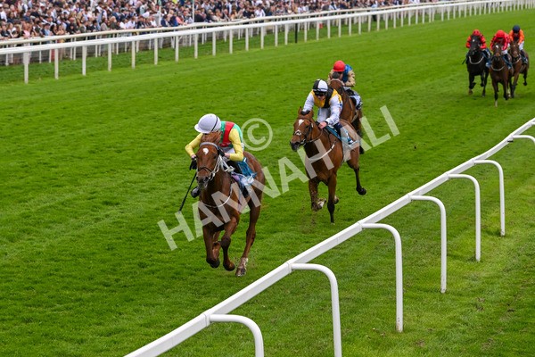 250524-Race 6-Primo Lara-4225 - Race 6 4.30pm Royal Yorkshire Regiment Handicap