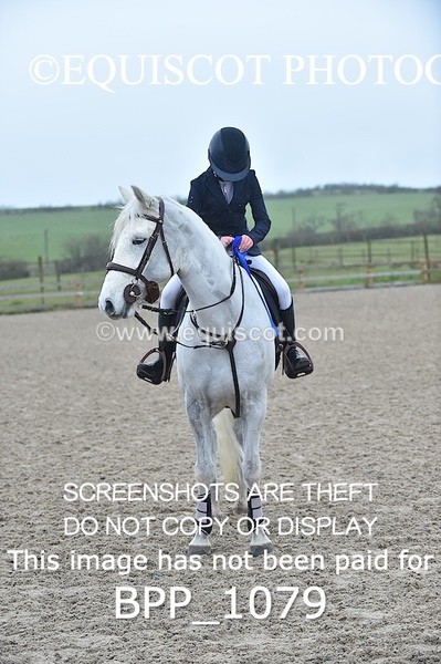 BPP_1079 - CLASS 1 Club/ Unaffiliated 60cms Open