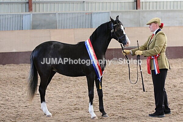 SIAL0415 - Indoor Classes