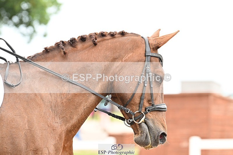 250621-112756-08224 - Cls 26 - Novice 5 Start to 12