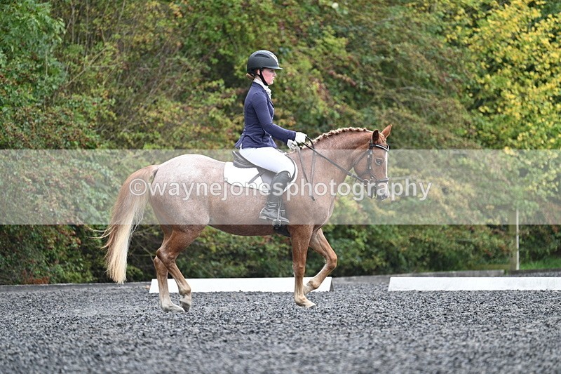 WJ7_3693 - Time 11:04 to 11:38