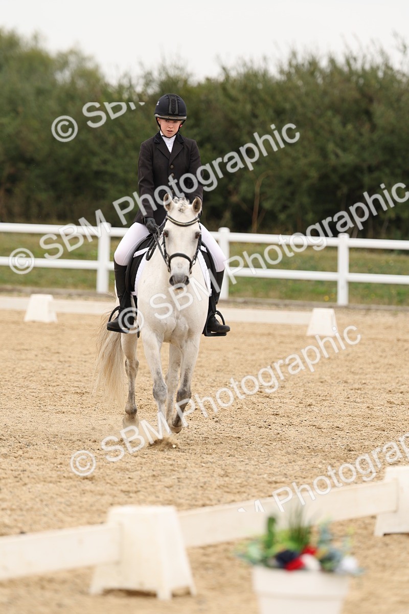 SBM_01081 - Class 8 - Novice 27 Champs
