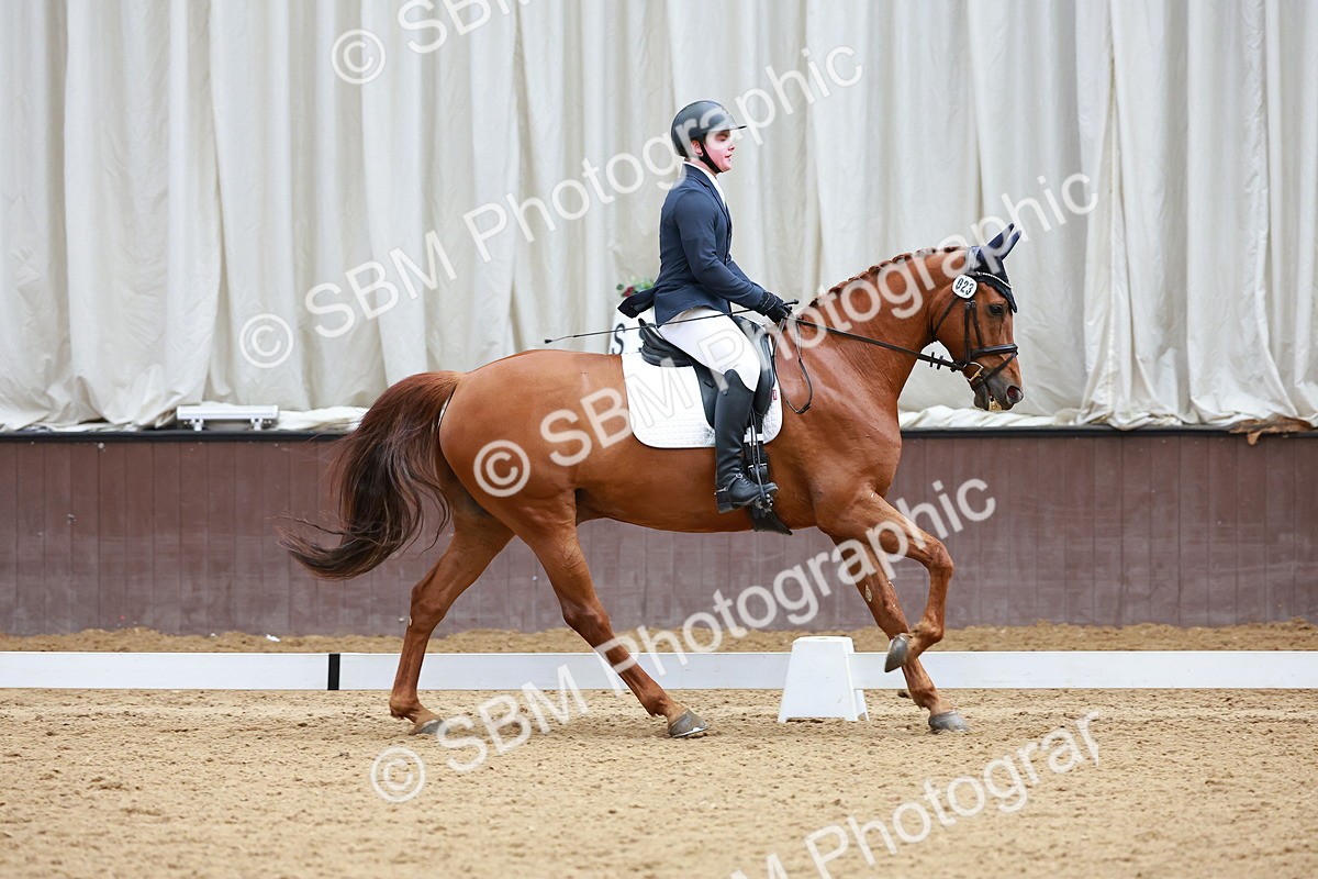 SBM_002826 - Class 14 - Novice 2