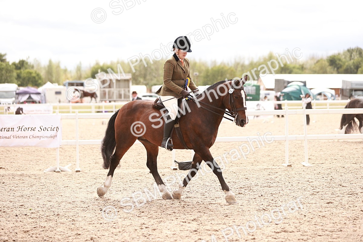 SBM_18277 - Class 416 - Prettiest Mare (IH or Ridden)Jnr