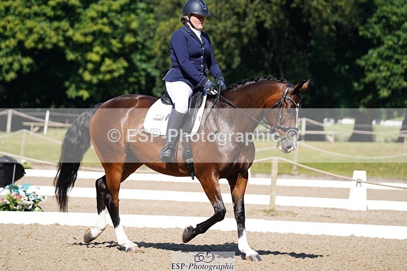 240719-094908-00345 - 271-Lauren_Gage-Creevagh_Miss_Bonnie
