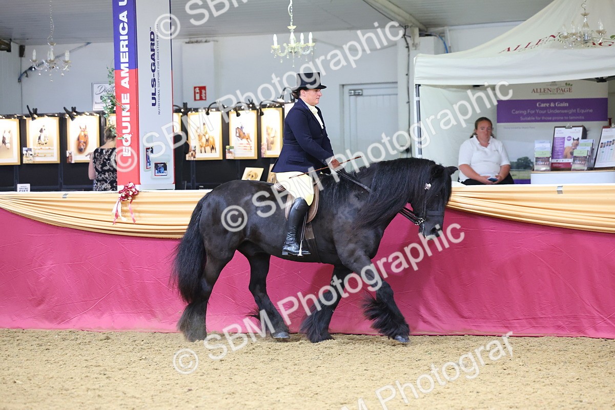 SBM_23622 - Class 904 - Supreme Final Ridden Diamond