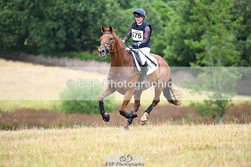 250803A-131749-13621 - M-575-Libby.Seed-WHISPER.A.WISH