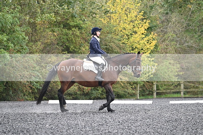 WJ7_4092 - Time 11:43 to 12:09