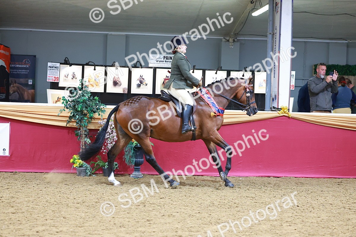 SBM_06416 - Regional Ridden Championship