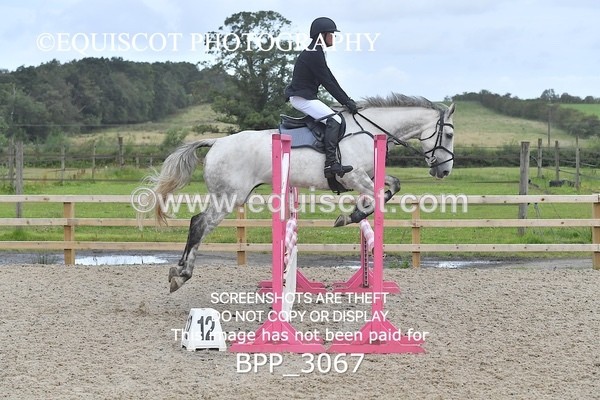 BPP_3067 - CLASS 1 Club/ Unaffiliated 80cms Open