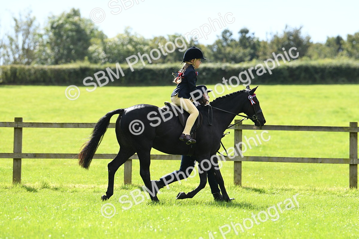 SBM_41141 - S19 - Lead Rein Show & Show Hunter Pony