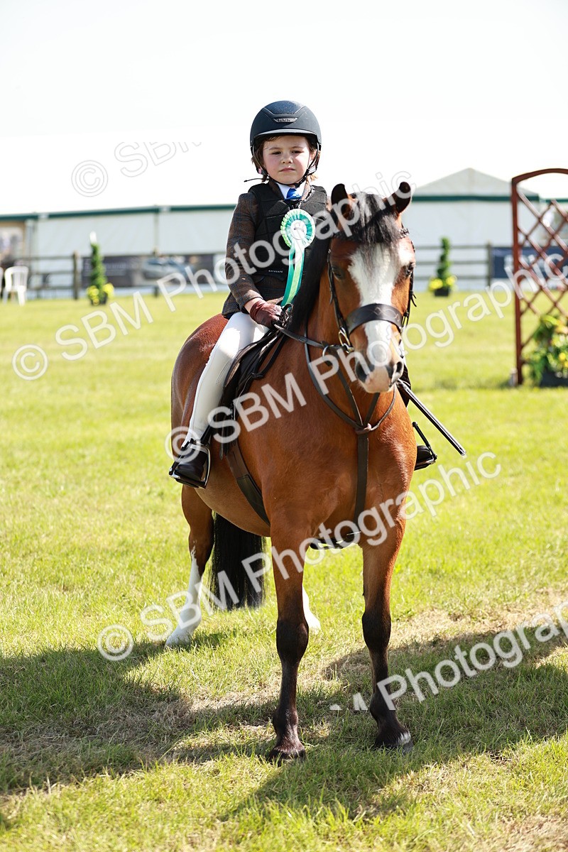 SBM_12813 - Class 106-107 - BSPS LIHS Working Sports Pony
