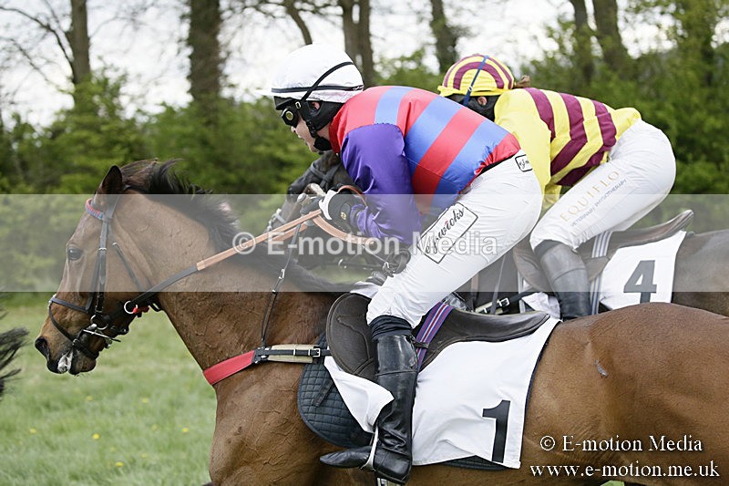 PtP 170417 459 - Old Berks Point-to-Point Lockinge 17/04/17