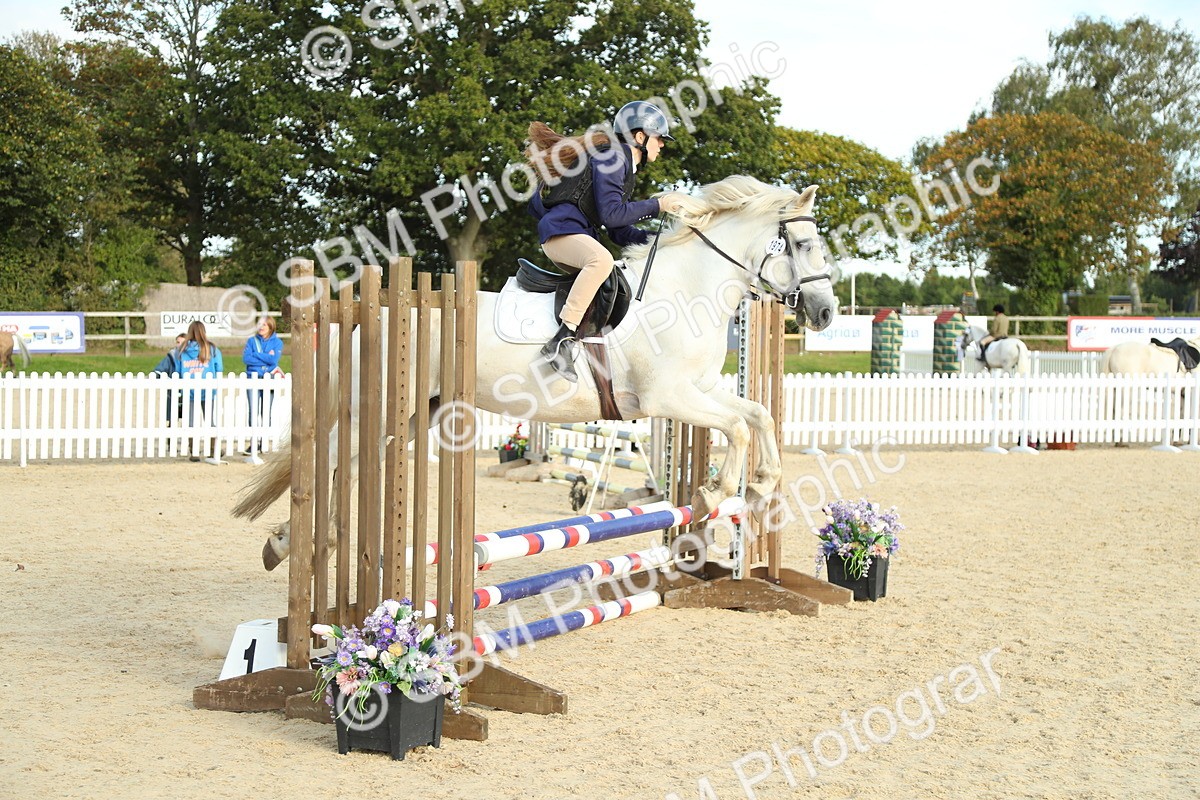 SBM_53545 - J8 - Junior Pony 65cm Championship