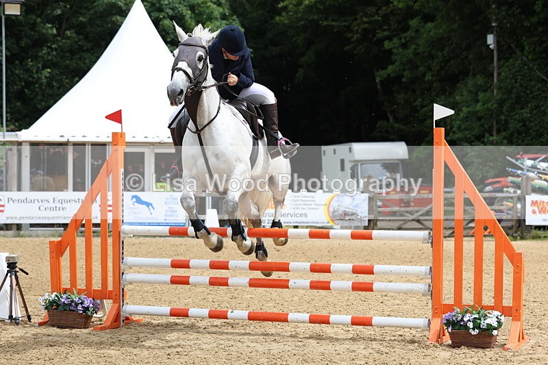 3E7A6047 - Class 4: Senior British Novice/90cm open