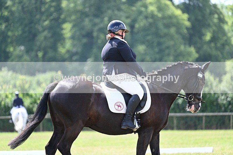 WJ7_4275 - Time 10:59 to 11:17