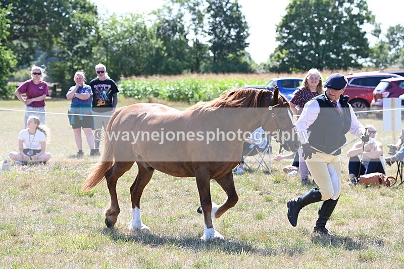 WJ6_4844 - Class 17 Mountain & Moorland