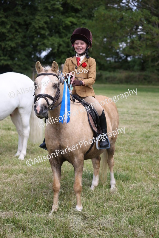 20260614-0814 - Class 20 - Beginners Working Hunter Pony