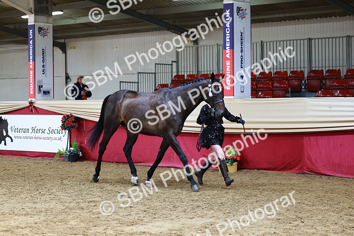 SBM_23157 - Class 903 - Supreme Final - IH Pre Vet