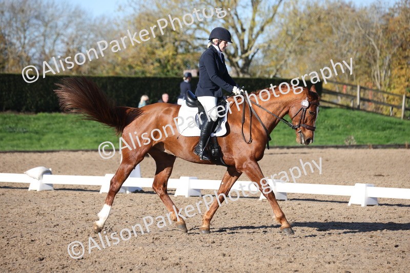 20251102-0535 - Class 3 - Novice 5