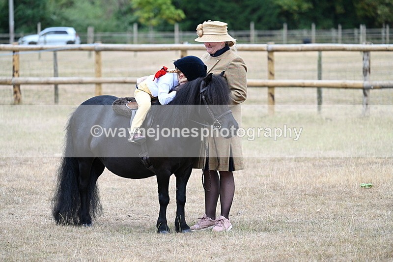 WJ7_8385 - Class 4 Prettiest Mare up to 14.2hh