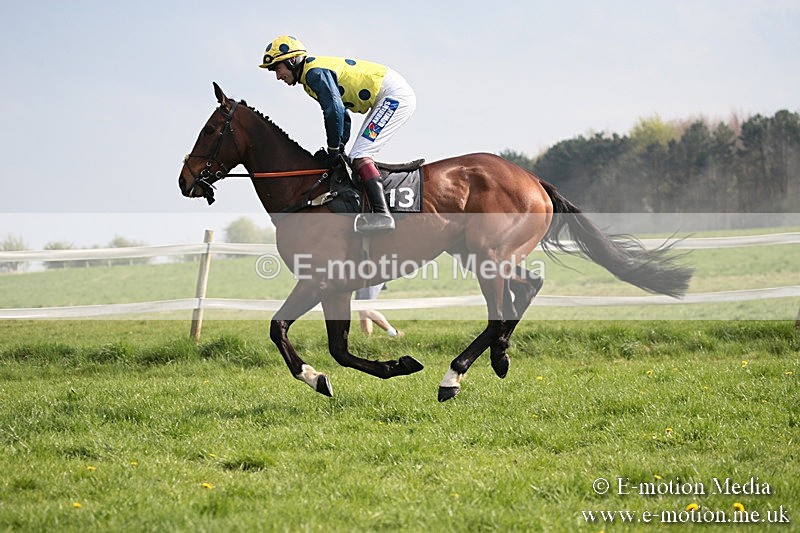 PtP 210418 406 - South & West Wilts Point-to-Point Larkhill 21/04/18
