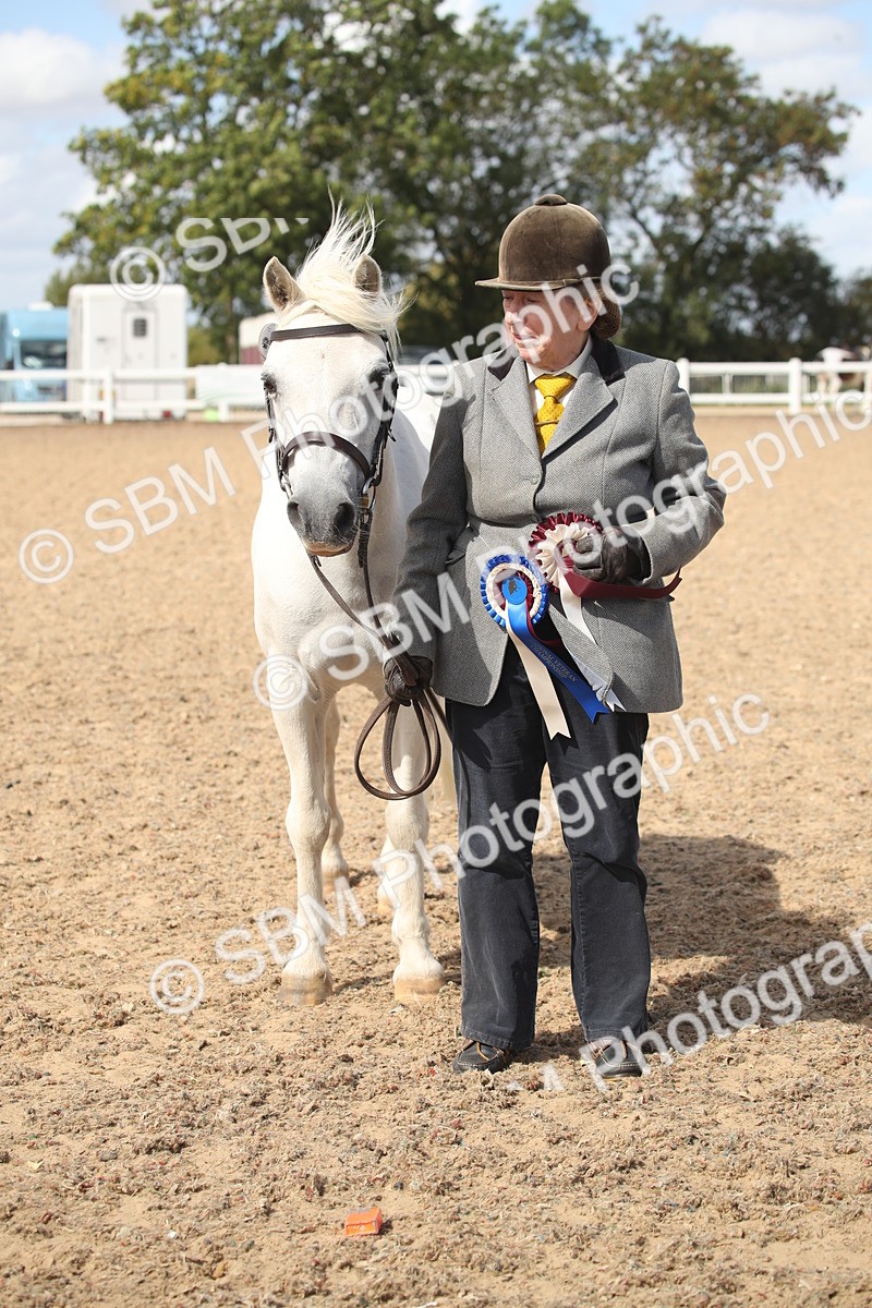 SBM_23585 - Class 605 - 2026 - Area - IH Veteran