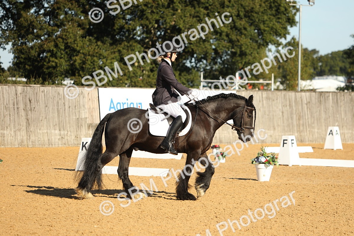 SBM_16423 - D10 - Small Tour Championship - Prelim 2