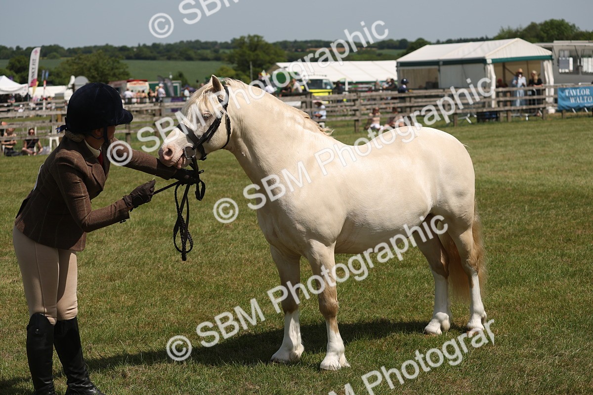 SBM_06968 - Class 26-30 - Mountain and Moorland Ridden