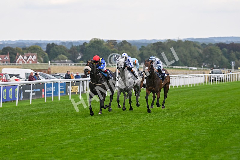 240924-Race 4-Tees Spirit-6223 - Race 4
