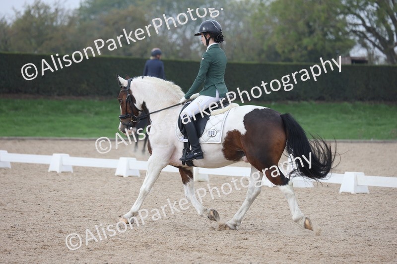 20251012-0682 - Class 6 - Elementary 6