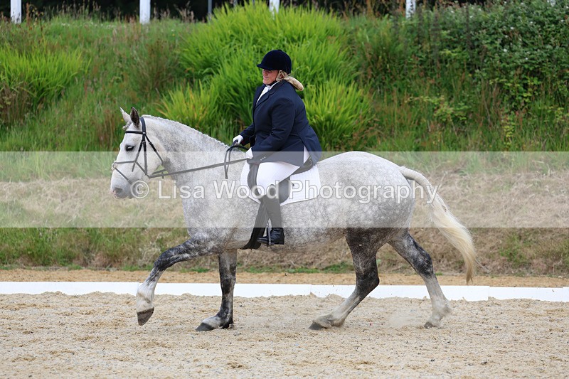 3E7A2009 - Class 3: Prelim 2 2024 Section A