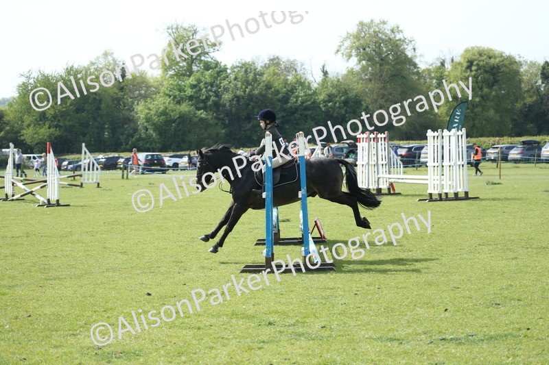20260426-1476 - Class 14 - Novice 60cm