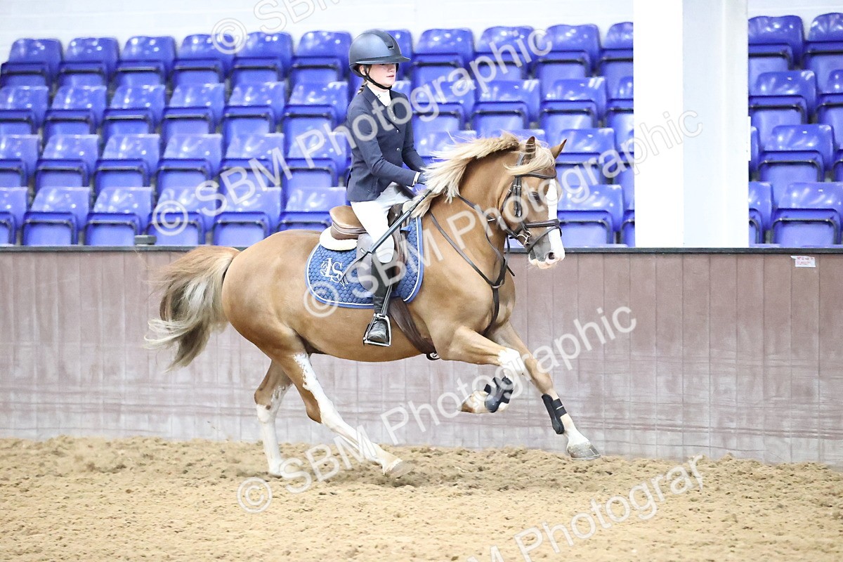 SBM_003063 - Class 9 - Stepping Stones 128cm 138cm Handicap 75cm 85cm